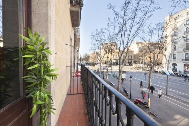 Paseo De Gracia Apartments Barcelona Eksteriør billede